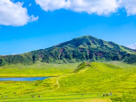 熊本県の市で「治安がいい」と思う市ランキング！ 2位「阿蘇市」を抑えた1位は？ 【2025年調査】