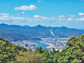 鹿児島県の市で「名前がかっこいい」と思う市ランキング！ 2位「薩摩川内市」を抑えた1位は？ 【2025年調査】