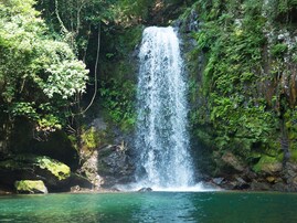 佐賀県で「秋に行きたい滝」ランキング！ 2位「轟の滝」を抑えた1位は？【2025年調査】