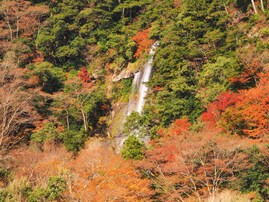 熊本県で「秋に行きたい滝」ランキング！ 2位「梅樟轟の滝」を抑えた1位は？【2025年調査】