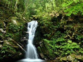 奈良県で「秋に行きたい滝」ランキング！ 2位「鷲の滝」を抑えた1位は？ 【2025年調査】