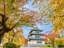 青森県で「ふるさと納税の返礼品が魅力的」と思う市ランキング！ 2位「弘前市」を抑えた1位は？【2025年調査】