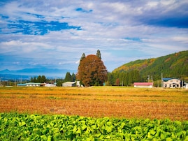 山形県で「ふるさと納税の返礼品が魅力的」と思う市ランキング！ 2位「米沢市」を抑えた1位は？【2025年調査】