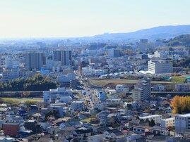 茨城県で「ふるさと納税の返礼品が魅力的」だと思うランキング！ 2位「日立市」を抑えた1位は？【2025年調査】