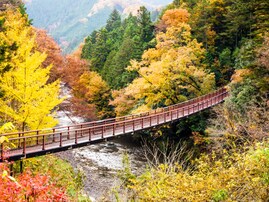 東京都の市（23区以外）で「ふるさと納税の返礼品が魅力的」だと思うランキング！ 2位「あきる野市」、1位は？