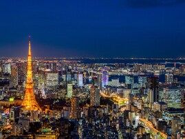 東京夜景×無料体験！ 東京港の夜景を堪能できる特別ツアー開催決定。11月11日まで応募受付中