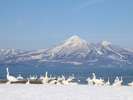好き＆飲んでみたい「福島県のクラフトビールブルワリー」ランキング！ 2位「猪苗代ビール」、1位は？ 【2025年調査】