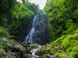 秋に行きたい「愛媛県の滝」ランキング！ 2位「白猪の滝」を抑えた1位は？【2025年調査】