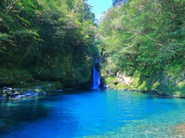 秋に行きたい「高知県の滝」ランキング！ 2位「にこ淵」を抑えた1位は？【2025年調査】