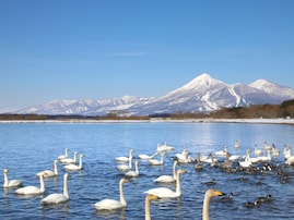 一生に一度は行きたいと思う「福島県の絶景スポット」ランキング！ 2位「猪苗代湖」を抑えた1位は？ 【2025年調査】