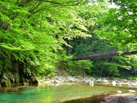 北関東の「憧れのナンバープレート」ランキング！ 2位「宇都宮」「那須」を抑えた1位は？ 【2025年調査】