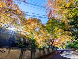 東京から日帰りで行きたい「神奈川県（箱根・湯河原エリア）の温泉地」ランキング！ 2位「湯河原温泉」、1位は？