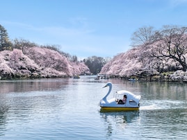 東京都の市（23区以外）で「移住したい」と思う市ランキング！ 2位「武蔵野市」を抑えた1位は？【2025年調査】