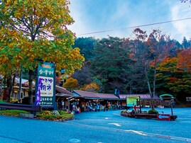 好き＆行ってみたい「岐阜県の商店街・市場」ランキング！ 2位「下呂温泉いでゆ朝市（下呂市）」を抑えた1位は？【2025年調査】