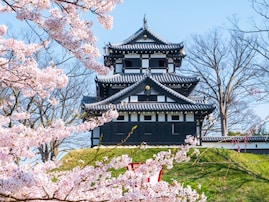 北陸地方の「憧れナンバープレート」ランキング！ 2位「上越（新潟県）」、1位は？ 【2025年調査】