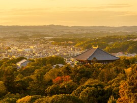 運転マナーがよさそうだと思う近畿地方のナンバープレートの地名ランキング！ 2位「奈良（奈良県）」を抑えた1位は？【2025年調査】