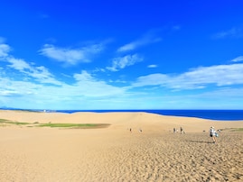 運転マナーがよさそうだと思う中国地方のナンバープレートの地名ランキング！ 2位「鳥取（鳥取県）」を抑えた1位は？【2025年調査】