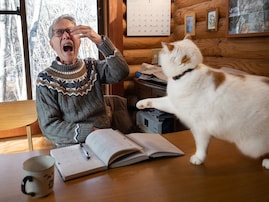 無慈悲なパンチに父のメガネは傾き、額からは血が…傍若無人な猫「メイ」とお父さんのハードな日常