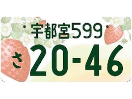 かわいいと思う「関東地方の図柄入りナンバープレート」ランキング！ 「宇都宮」に2票差の1位は？【2025年調査】