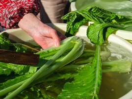旅先で買いたい「長野県のお土産」ランキング！ 2位「野沢菜漬」、1位は？ 【2025年調査】