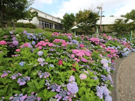 子連れで行きたいと思う「大阪府の道の駅」ランキング！ 2位「しらとりの郷・羽曳野（羽曳野市）」を抑えた1位は？ 【2025年調査】