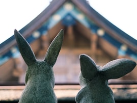 旅先で買いたい「鳥取県のお土産」ランキング！ 2位「因幡の白うさぎ」、1位は？ 【2025年調査】