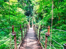 子連れで行きたいと思う「岡山県の道の駅」ランキング！ 2位「みやま公園（玉野市）」を抑えた1位は？【2025年調査】