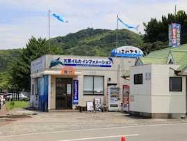 子連れで行きたいと思う「熊本県の道の駅」ランキング！ 2位「天草市イルカセンター」を抑えた1位は？ 【2025年調査】