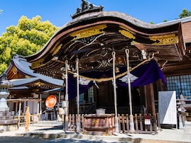 好き＆行ってみたい「山梨県の寺社仏閣」ランキング！ 2位「武田神社」を抑えた1位は？【2025年調査】