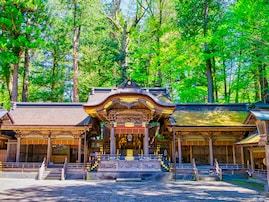 好き＆行ってみたい「長野県の寺社仏閣」ランキング！ 2位「諏訪大社」を抑えた1位は？【2025年調査】