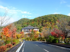 老後に住みたい「岩手県の自治体」ランキング！ 2位「花巻市」を抑えた1位は？ 【2025年調査】