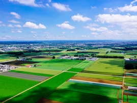 好き＆飲んでみたい「北海道の地酒」ランキング！ 2位「十勝（とかち）」を抑えた1位は？ 【2025年調査】