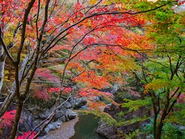 長期休みに行きたい「埼玉県の穴場秘境」ランキング！ 2位「中津峡」、1位は？ 【2025年調査】