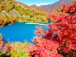 長期休みに行きたい「群馬県の穴場秘境」ランキング！ 2位「奥四万湖」、1位は？ 【2025年調査】