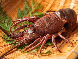 旅先で食べたい「三重県のご当地グルメ」ランキング！ 2位「伊勢エビ」を抑えた1位は？ 【2025年調査】