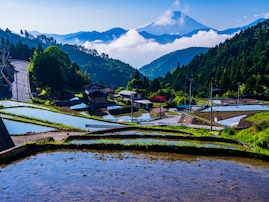 老後に住みたい「山梨県の自治体」ランキング！ 2位「南アルプス市」を抑えた1位は？ 【2025年調査】