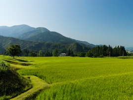 老後に住みたい「新潟県の自治体」ランキング！ 2位「魚沼市」を抑えた1位は？ 【2025年調査】