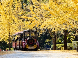 埼玉県で「外国人観光客におすすめしたい温泉地」ランキング！ 3位「柴原温泉」、同率1位は？ 【2025年調査】