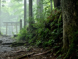 好き&行ってみたい「三重県のパワースポット」ランキング！ 2位「熊野古道」、1位は？ 【2025年調査】