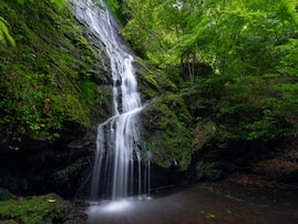 長期休みに行きたい「京都府の穴場秘境」ランキング！ 2位「琴滝」、1位は？ 【2025年調査】