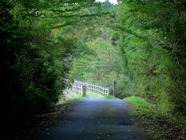 長期休みに行きたい「広島県の穴場秘境」ランキング！ 2位「野呂山原生林」を抑えた1位は？ 【2025年調査】