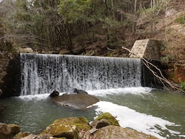 長期休みに行きたい「岡山県の穴場秘境」ランキング！ 2位「鳴滝森林公園」を抑えた同率1位は？【2025年調査】