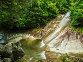 長期休みに行きたい「愛媛県の穴場秘境」ランキング！ 2位「滑床渓谷」を抑えた1位は？【2025年調査】