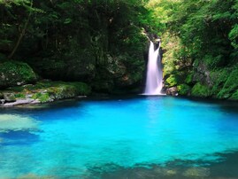長期休みに行きたい「高知県の穴場秘境」ランキング！ 2位「にこ淵」を抑えた1位は？【2025年調査】