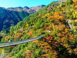 長期休みに行きたい「熊本県の穴場秘境」ランキング！ 2位「梅の木轟公園吊橋」「菊池渓谷」、1位は？ 【2025年調査】