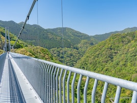 長期休みに行きたい「宮崎県の穴場秘境」ランキング！ 2位「綾の照葉大吊橋」、1位は？ 【2025年調査】