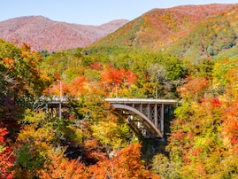 長期休みに行きたい「宮城県の穴場秘境」ランキング！ 2位「鳴子峡」、1位は？ 【2025年調査】