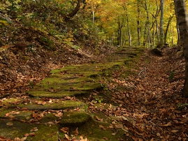 長期休みに行きたい「山形県の穴場秘境」ランキング！ 2位「黒沢峠ブナ林」、1位は？ 【2025年調査】