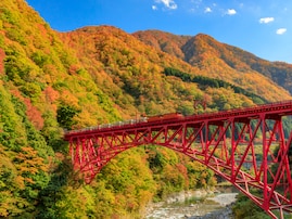 絶景だと思う「日本の渓谷」ランキング！ 2位「黒部峡谷（富山県）」を抑えた1位は？【2025年調査】