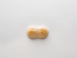 職場で配りたい「徳島県のお土産」ランキング！ 2位「マンマローザ」などを抑えた1位は？ 【2025年調査】